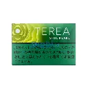 1. Terea Sapa Blend  (26).webp