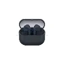 Black.webp