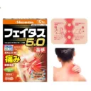 Hisamitsu Feitas 5.0 Warm Patch 20 Lembar | Koyo Pereda Nyeri Otot & Sendi Sensasi Hangat
