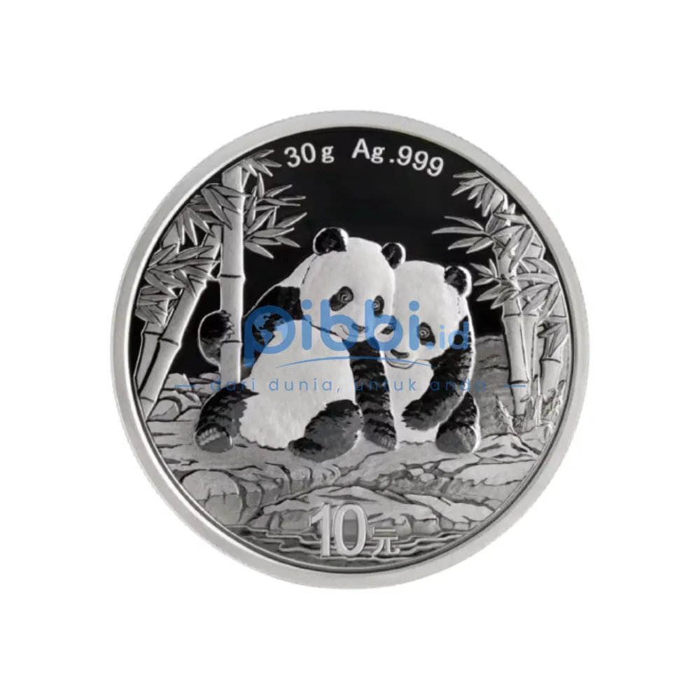 Chinese Panda Silver Coin 30 gr