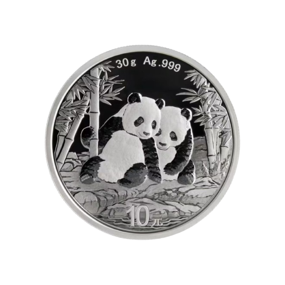 Chinese Panda Silver Coin 30 gr
